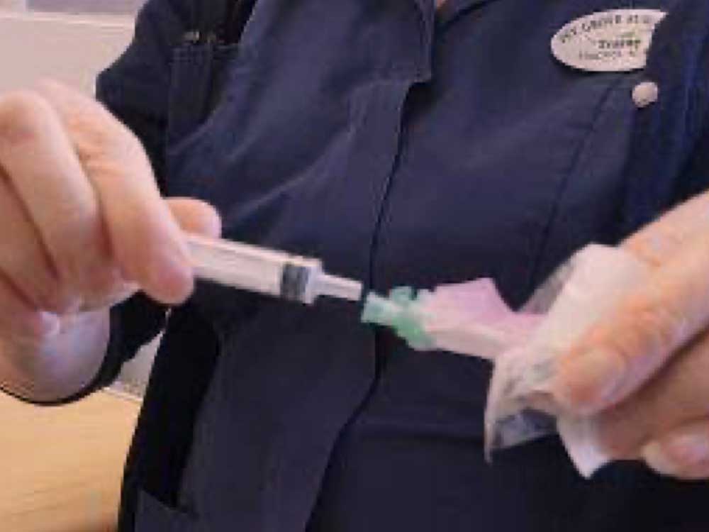attach needle to syringe